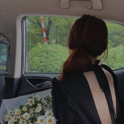 凤舞九天涅槃重生